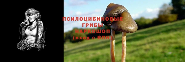дурь Абинск