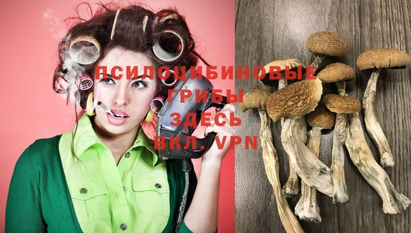 каннабис Алзамай