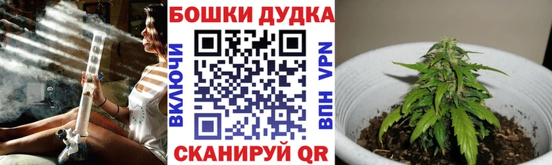 Конопля VHQ  KRAKEN ССЫЛКА  Пудож 