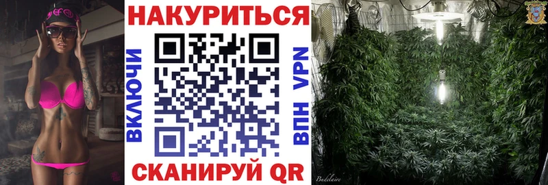 Канабис планчик Пудож
